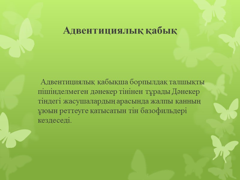 Адвентициялық қабық      Адвентициялық қабықша борпылдақ талшықты пішінделмеген дәнекер тінінен